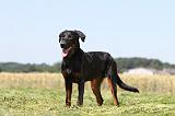 BEAUCERON 500